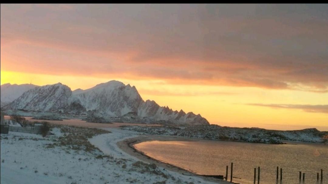 Sentral Studioleilighet Ved Stranden Og Hvalsenter Nb Ma Vaskes Etter Endt Leie Eller Betale Rengjoringshjelpen 500 Kr Andenes Exterior photo